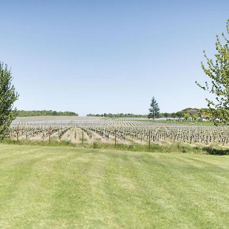 Domaine De Quittignan Brillette Otel Moulis-en-Médoc Dış mekan fotoğraf