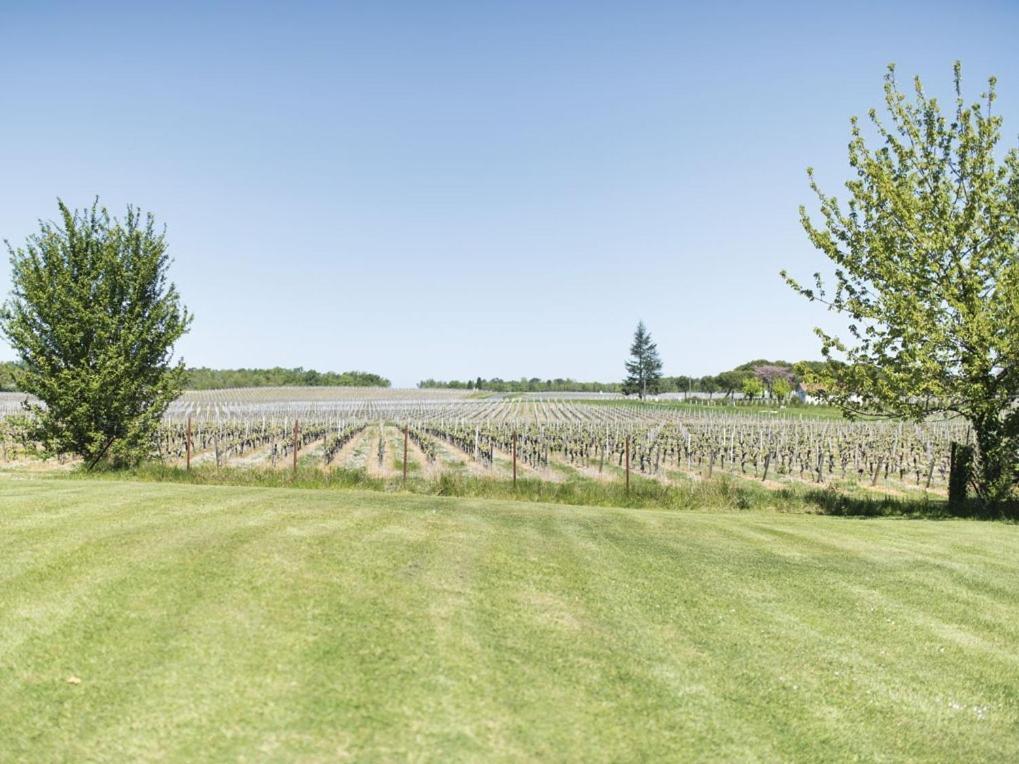 Domaine De Quittignan Brillette Otel Moulis-en-Médoc Dış mekan fotoğraf