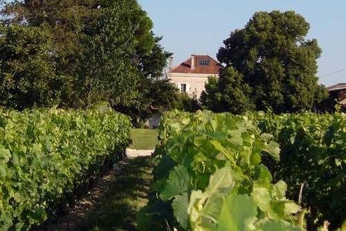 Domaine De Quittignan Brillette Otel Moulis-en-Médoc Dış mekan fotoğraf